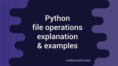 Python File Operation 的图像结果