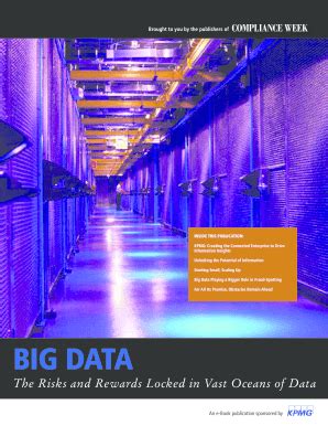 Fillable Online Big Data The Risks and Rewards Locked in Vast Oceans of ...