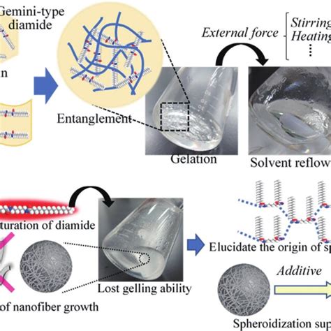 Image result for Research Background Example