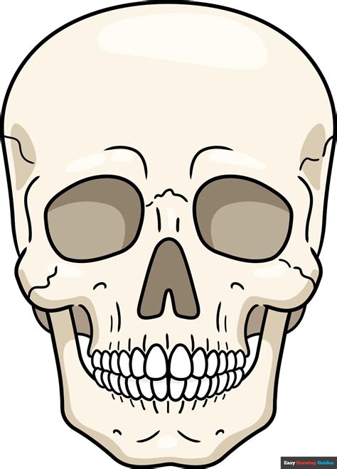 Image result for Skull Drawing Tutorial