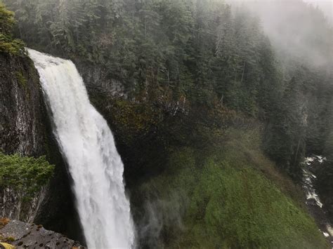 Diamond Creek Falls Trail - Oregon | AllTrails