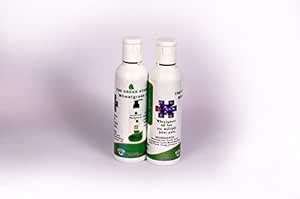 Wheatgrass Oil for All Joint Pains,Back Pains (100ml) : Amazon.in ...
