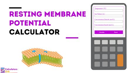 Image result for Muscle Cell Resting Membrane Potential