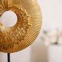 Abstract Ammonite Showpiece For Home Decor Online - Premium Decor ...