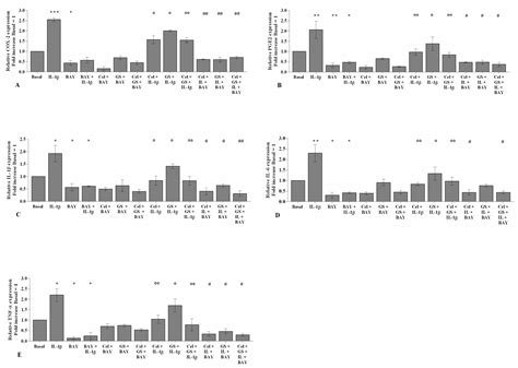 A Combination of Celecoxib and Glucosamine Sulfate Has Anti ...