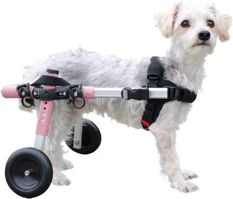 Walkin' Wheels Walkin Wheels Small Dog Wheelchair, Lightweight Dog ...