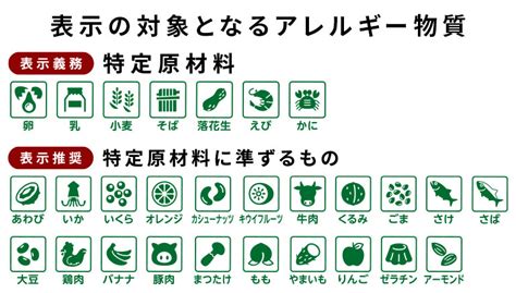 Image result for Algorithm Classifying Shapes