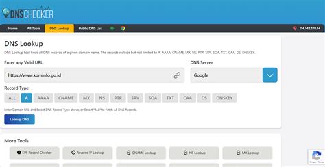 Get IP From Domain 的图像结果