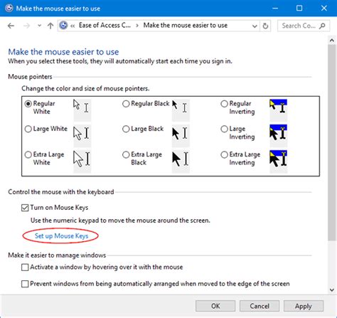 Image result for Set Up Mouse Keys