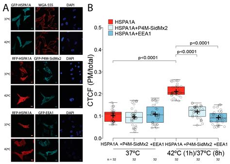 Phosphatidylinositol Monophosphates Regulate the Membrane Localization ...