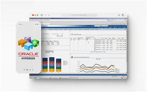 Image result for Oracle Hyperion Tutorial