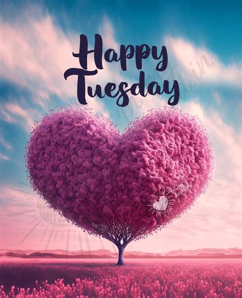 💖 Happy Thursday Morning! Images and Quotes for FREE