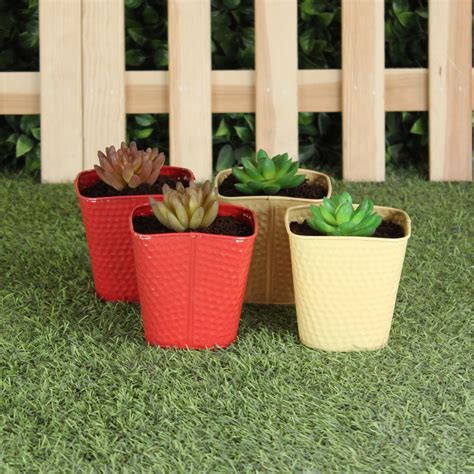 Wonderland : The Garden & Home Store — Wonderland Garden Arts and Craft