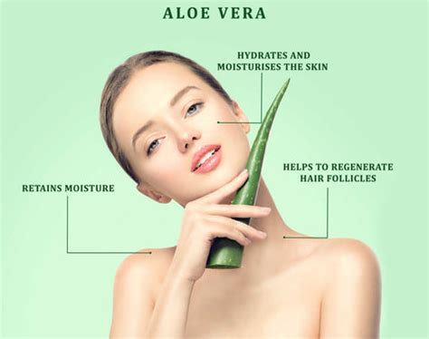 Aloe Vera Benefits for Skin and Hair I DIY Aloe Vera Gel for Face