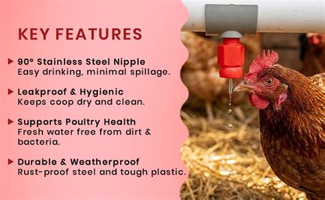 CJ Farms and Agritech Automatic Poultry Chicken Water Nipple Drinker ...