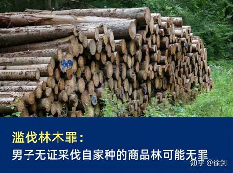 砍自家的树犯法吗？关于树木这些事你不能做！ | 信丰县信息公开