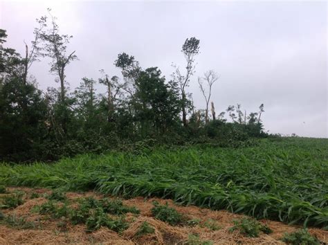 June 29, 2014 Severe Storms