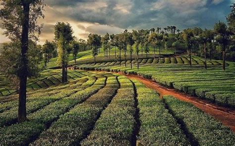 Winter Is Here! Check Out The 15 Top Getaways Around Bangalore During ...