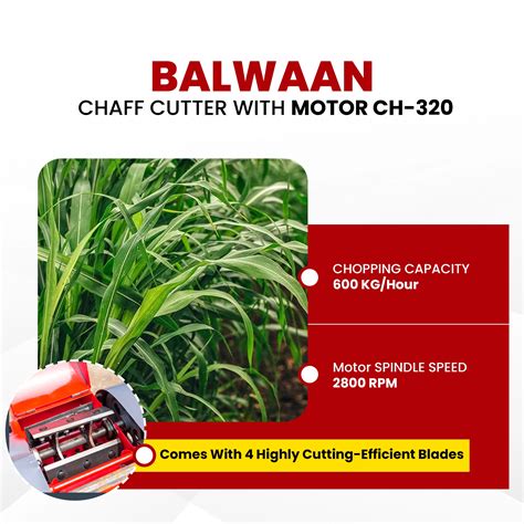 Buy Balwaan CH-320 Electric Chaff Cutter 3 HP with Conveyor Belt Online ...