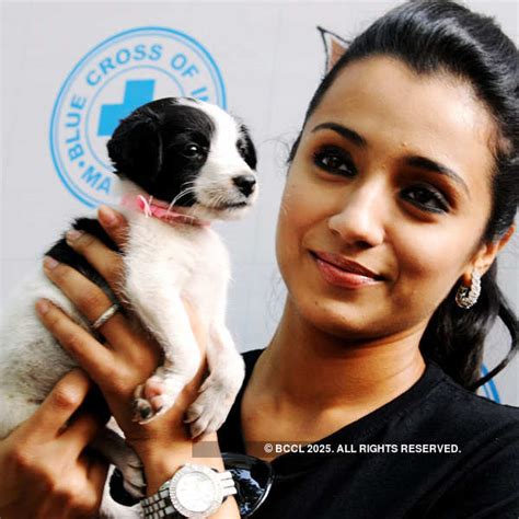 Trisha Krishnan poses with a pet during 'The Great Indian Dog Show 2013 ...