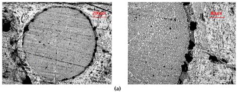 Study on Microstructure Characteristics of Axially Braided Carbon ...