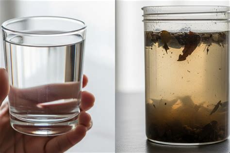 What Is Potable and Non-Potable Water? | H2O Global News