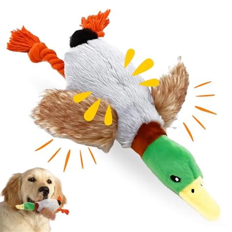 Amazon.in Bestsellers: The most popular items in Squeak Toys