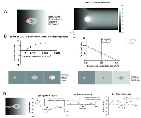 Image result for Concentration Gradient Cell Membrane
