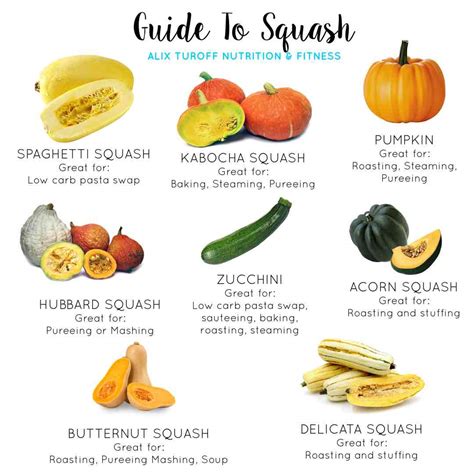 Guide to the Nutrition in Squash — Alix Turoff Nutrition | Your Virtual ...