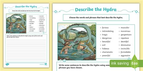 Describe the Hydra Worksheet (teacher made) - Twinkl