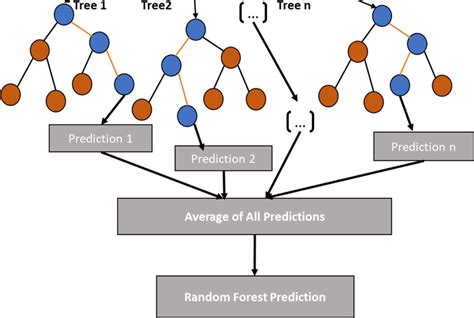 Random Forest Model 的图像结果