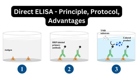 Image result for Standard Elisa Protocol