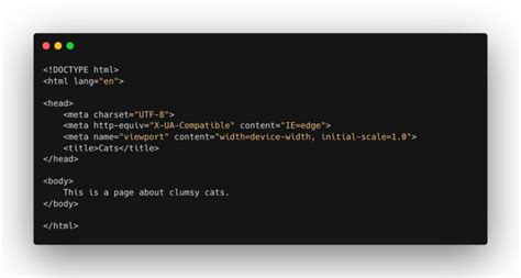 Python How to Extract File Types 的图像结果