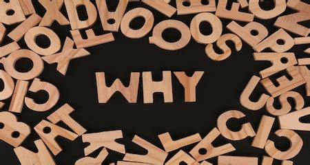 The Missing Why in India Education System Policy Gap NEP 2020 Analysis
