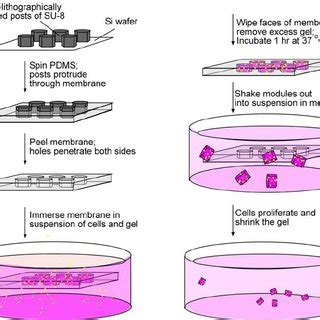 Image result for Module Fabrication Layout