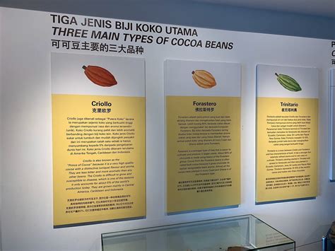 BERYL'S CHOCOLATE (2025) All You Need to Know BEFORE You Go (with ...