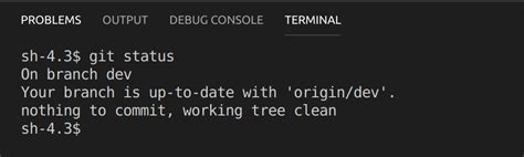 Image result for Linux Visual Studio Code Terminal Highlight Path Branch