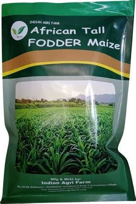 IAgriFarm African Tall Fodder Maize / Makka (Zea Mays) - 1 Kg for ...