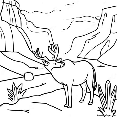 Grand Canyon Wildlife Coloring Page | Coloring-Pages.com