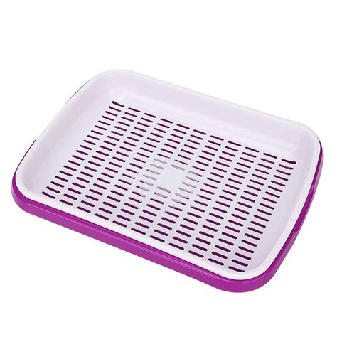 GLOWICK Multipurpose Sprout Maker Tray Vegetable Planting Tray Double ...