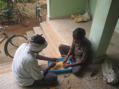 Coconut Development Board