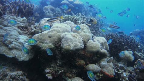 Natural Environment 的图像结果