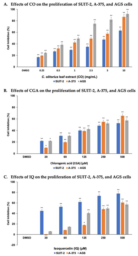Anticancer Effects of the Corchorus olitorius Aqueous Extract and Its ...