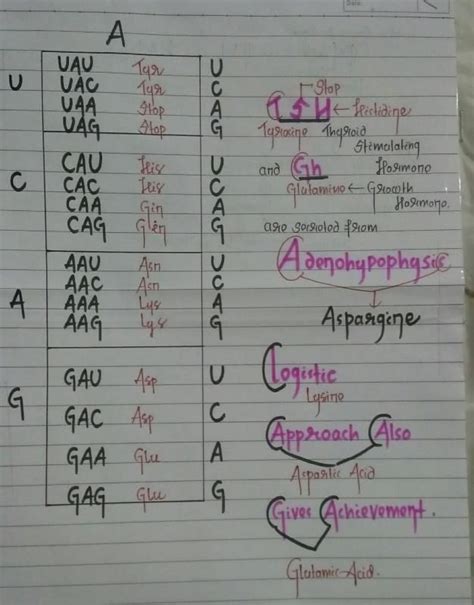 Genetic Codons simplified... - NEET PDF Download