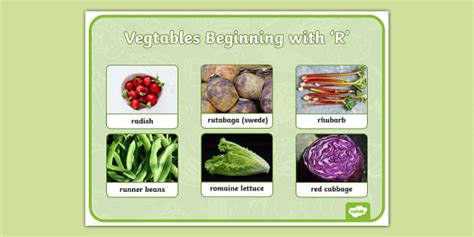 Vegetables That Start with Letter 'R' Word Mat - Twinkl