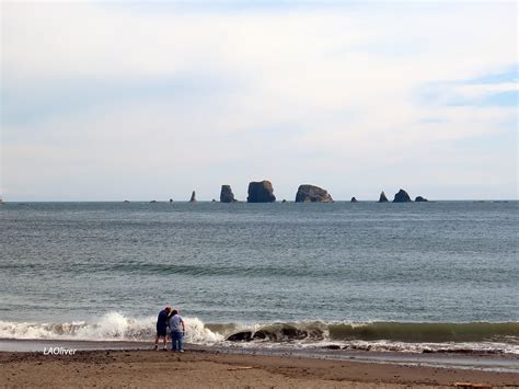 La Push Beach 5 BEST Things To Do At First Beach La Push (WA)
