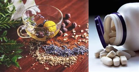 Natural Origin Remedy for Prostate? – See What Can Help! - Toast 'n Fry