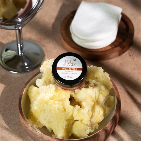 Buy Shea Butter Tinted Lip Balm | Organic Lip Balm for Dry & Chapped ...