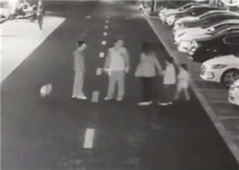 一男子在步行街违规遛16只狗被行政处罚（视频）-视频精选-长沙晚报网