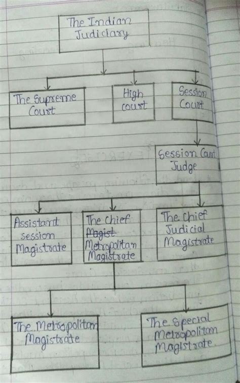 Read the following passage and draw a tree diagram to cover the main ...